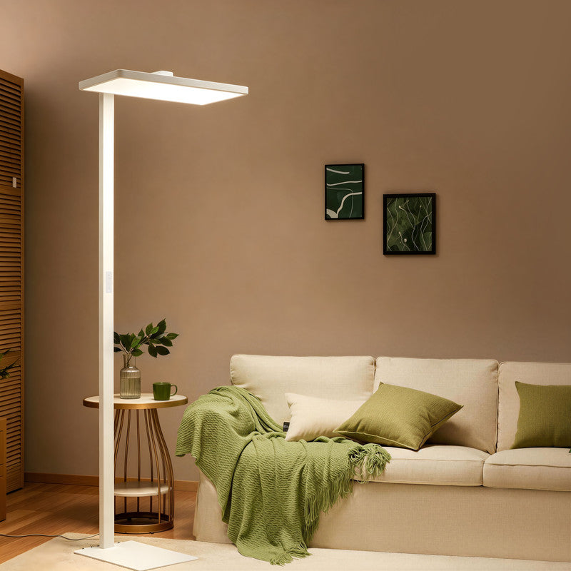 Task & Floor Lighting