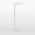 2 ft. W x  19.1  in. D  x  80.9 in. H  Modern LED Floor Lamp, Eye-Caring Standing Lamp with Adjustable Brightness for Reading, Studying and Home Office