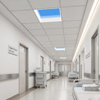 2 ft. x 2 ft. Ultra Thin Virtual Skylight Panel Light, Full Spectrum Natural Daylight Ceiling Light for Hospital, Conference Room and Library